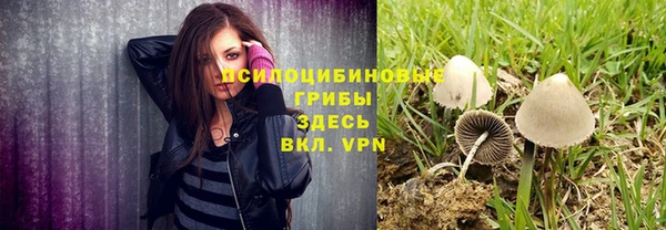 соль ск Кодинск