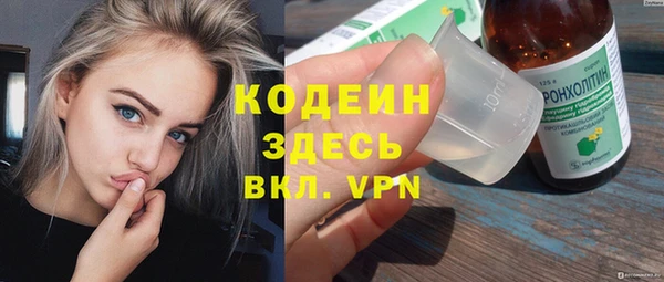 соль ск Кодинск