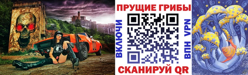 Псилоцибиновые грибы мицелий  Купить  Юрьевец 
